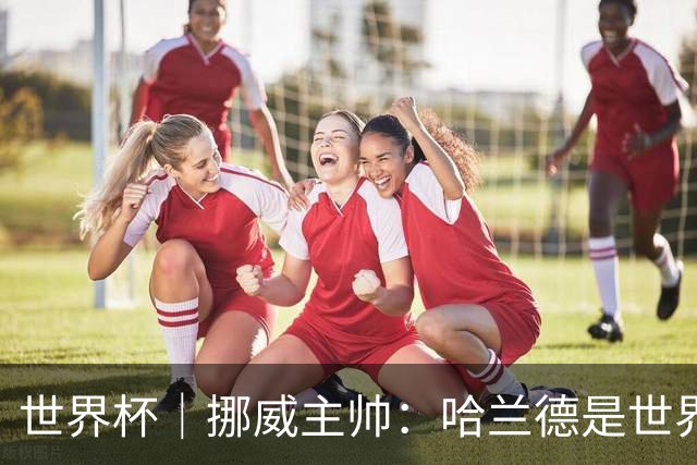 世界杯｜挪威主帅：哈兰德是世界上最好的射手