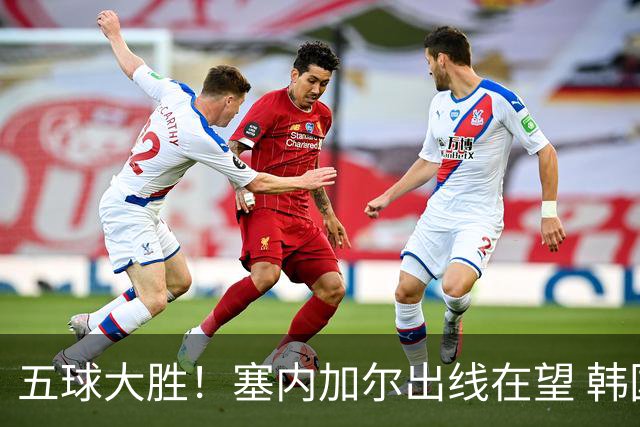五球大胜！塞内加尔出线在望 韩国晋级仅剩理论希望